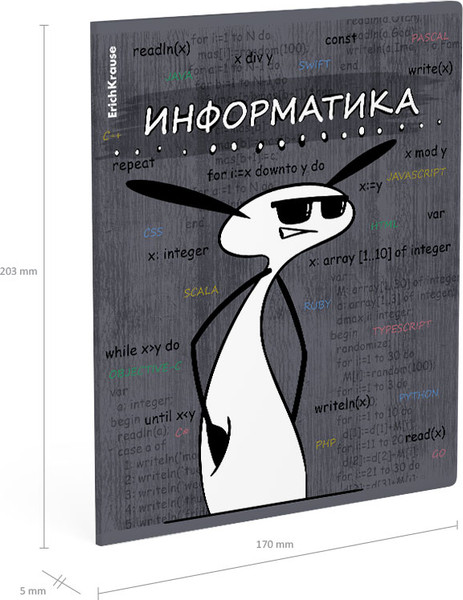 Изображение товара Тетрадь предметная Erich Krause Чубрик. Информатика / 59479 (48л)