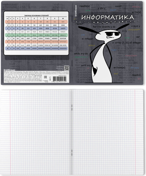 Изображение товара Тетрадь предметная Erich Krause Чубрик. Информатика / 59479 (48л)