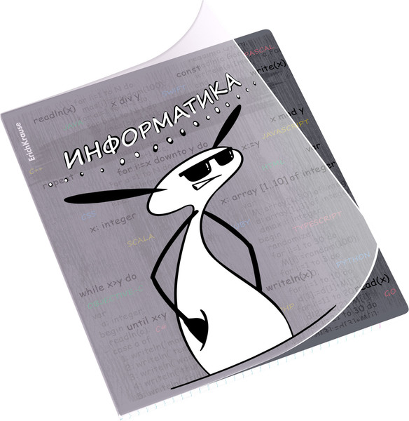 Изображение товара Тетрадь предметная Erich Krause Чубрик. Информатика / 59479 (48л)