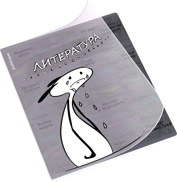 Изображение товара Тетрадь предметная Erich Krause Чубрик. Литература / 59469 (48л)