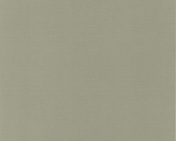 Изображение товара Виниловые обои DecoStyle Франклин 60078-13