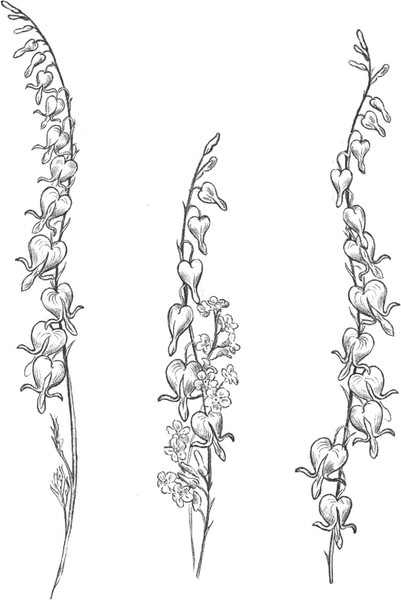 Изображение товара Книга АСТ Целься в сердце, твердая обложка (	Габова Елена)