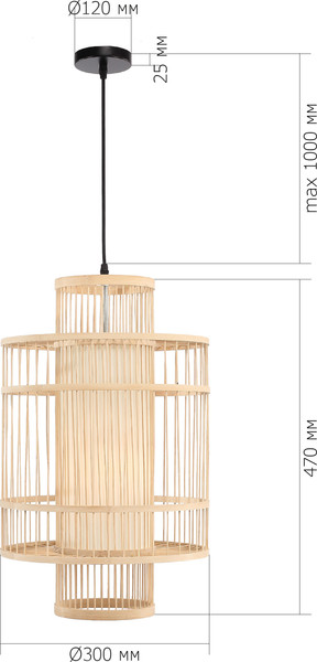 Изображение товара Потолочный светильник ST Luce SL6241.523.01