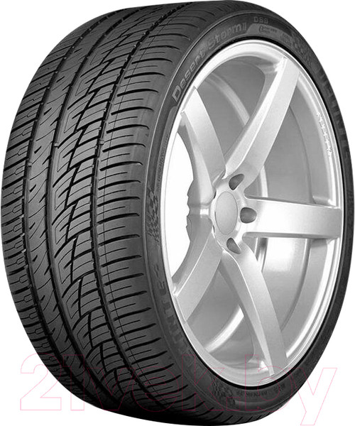 Изображение товара Летняя шина Delinte DS8 295/40R21 111Y