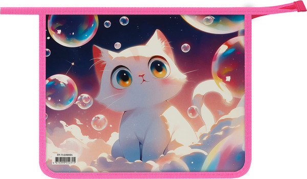 Изображение товара Папка для тетрадей ArtSpace Soap Bubbles / ПТ-715Л0001