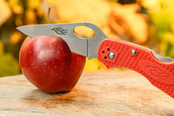 Изображение товара Нож складной GANZO F759M-OR (оранжевый)