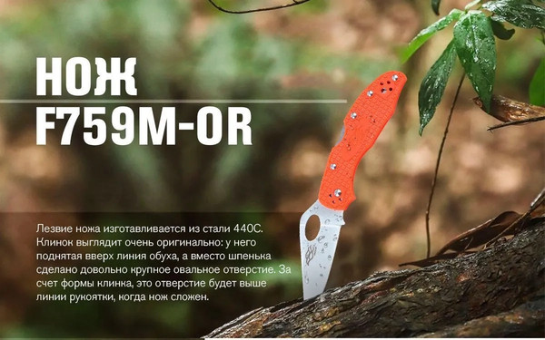 Изображение товара Нож складной GANZO F759M-OR (оранжевый)