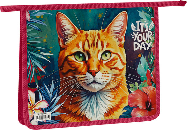 Изображение товара Папка для тетрадей ArtSpace The Red Cat / ПТ-715Л0003