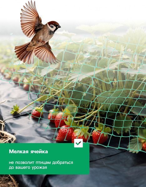 Изображение товара Защитная сетка для растений GREENGO 2x10м ячейка ромб 6x6мм от птиц (зеленый)