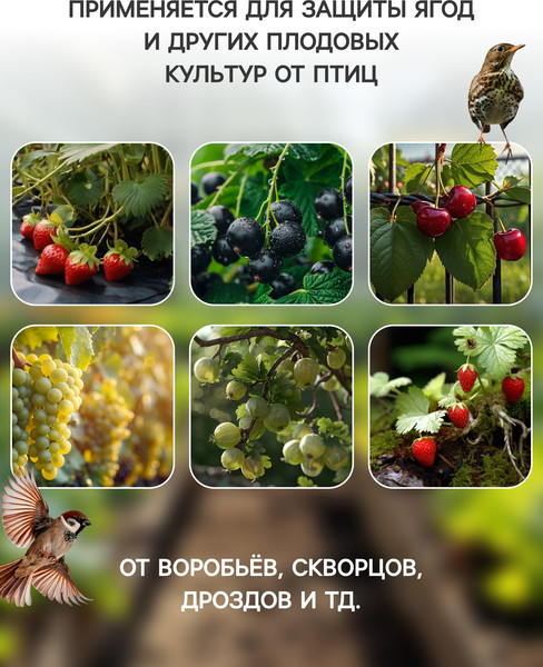 Изображение товара Защитная сетка для растений GREENGO 2x10м ячейка ромб 6x6мм от птиц (зеленый)