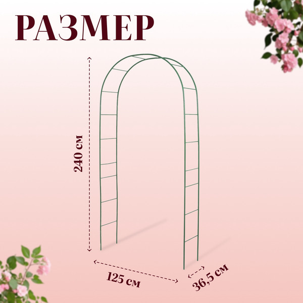 Изображение товара Арка садовая GREENGO 240x125x36.5см для вьющихся растений (зеленый)