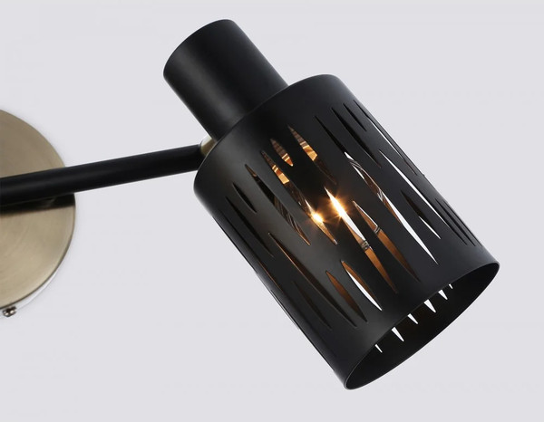 Изображение товара Спот Ambrella TR8668/2 BK/SB (черный/бронза)