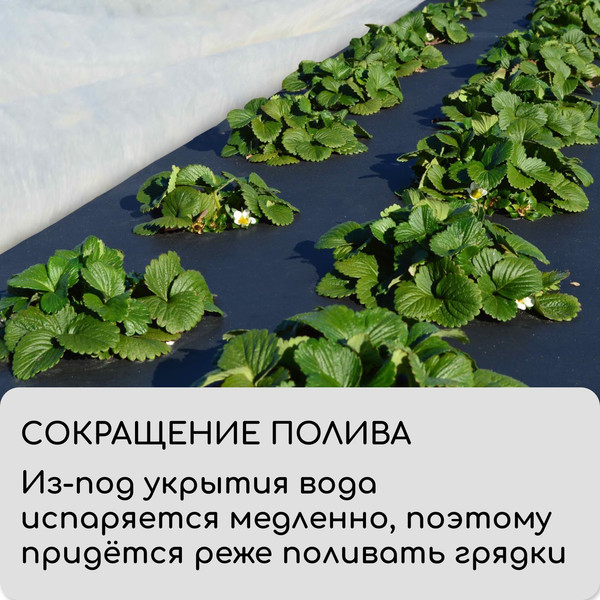 Изображение товара Укрывной материал GREENGO Мульчирующий с перфорацией 10x1.6м 80г/м2 с УФ-стабилизатором (черный)