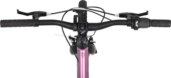 Изображение товара Велосипед Maxiscoo 5bike 24 L200 2025 / MSC-M5-2413  (розовый сапфир)