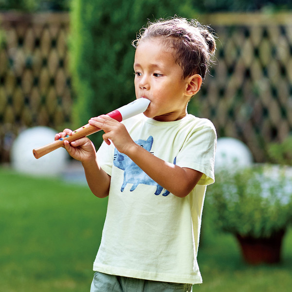 Изображение товара Музыкальная игрушка Hape Волшебный звук / E0640_HP