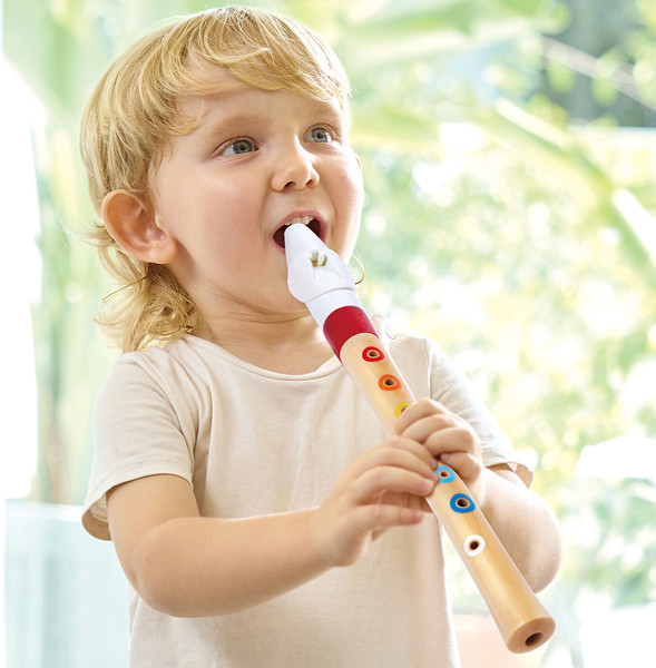 Изображение товара Музыкальная игрушка Hape Волшебный звук / E0640_HP