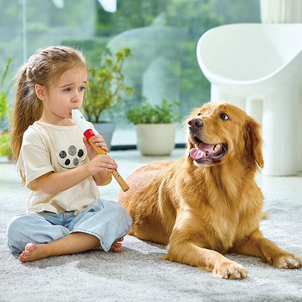 Изображение товара Музыкальная игрушка Hape Волшебный звук / E0640_HP