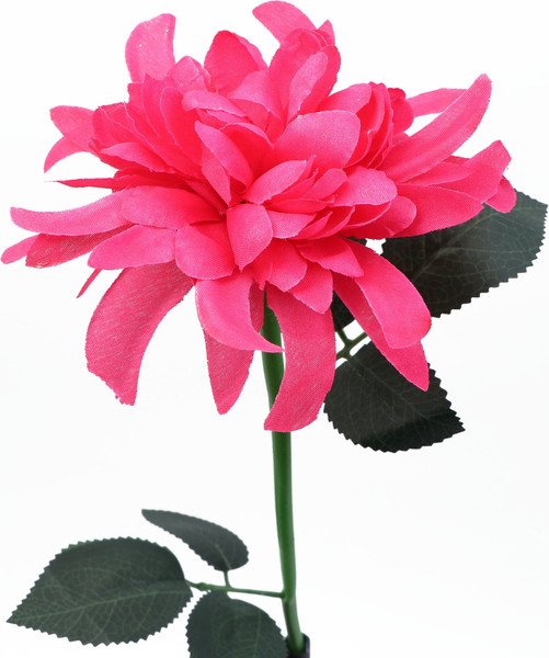 Изображение товара Украшение для сада Take It Easy Цветок / 10794998 (красный)