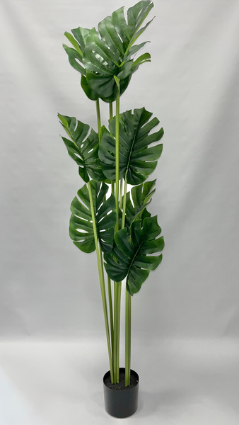 Изображение товара Искусственное растение No Brand Монстера 360511