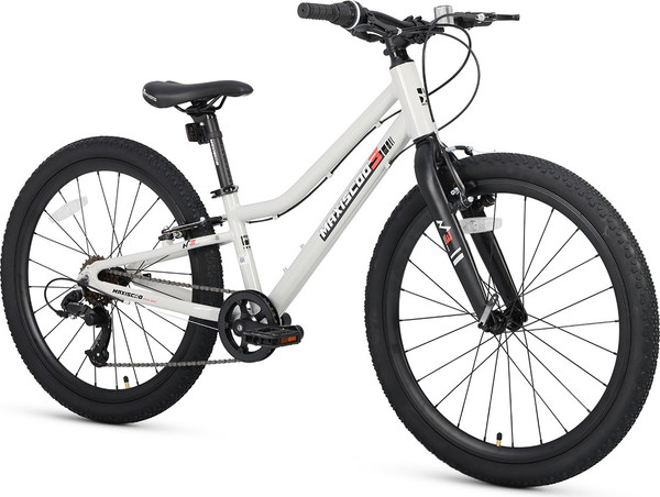 Изображение товара Велосипед Maxiscoo 3bike 24 L 2025 / MSC-M3-2403 (серый)