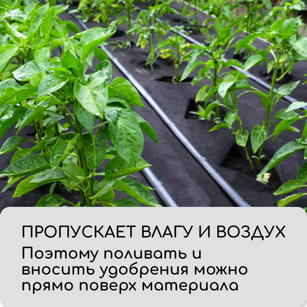 Изображение товара Укрывной материал GREENGO Мульчирующий с перфорацией 10x0.8м 80г/м2 с УФ-стабилизатором (черный)