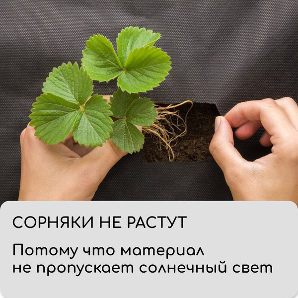 Изображение товара Укрывной материал GREENGO Мульчирующий с перфорацией 10x0.8м 80г/м2 с УФ-стабилизатором (черный)