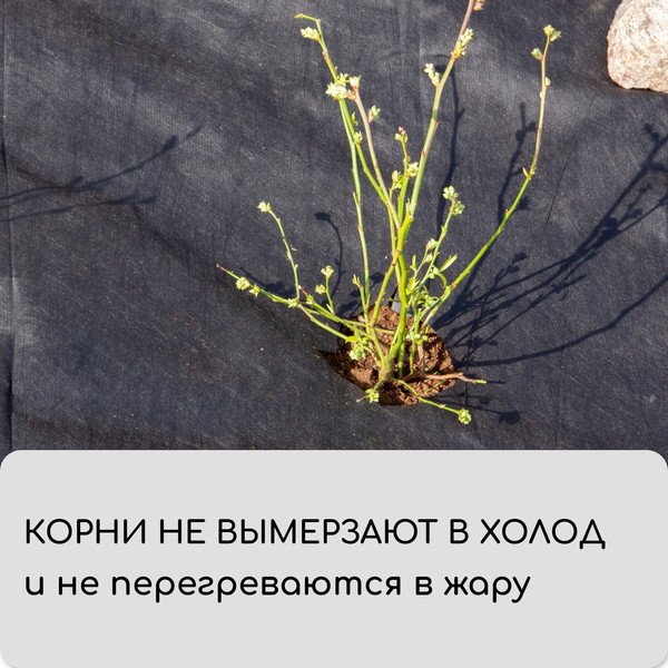 Изображение товара Укрывной материал GREENGO Мульчирующий с перфорацией 5x1.6м 80г/м2 с УФ-стабилизатором (черный)