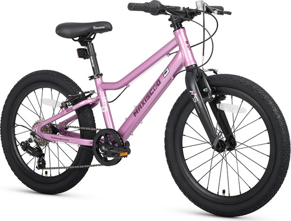 Изображение товара Детский велосипед Maxiscoo 5bike 20 L200 2025 / MSC-M5-2013 (розовый сапфир)