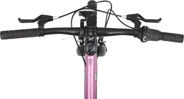 Изображение товара Детский велосипед Maxiscoo 5bike 20 L200 2025 / MSC-M5-2013 (розовый сапфир)