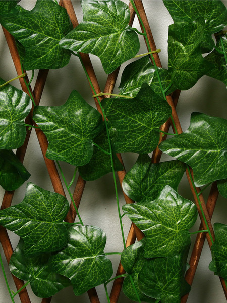 Изображение товара Изгородь декоративная GREENGO Лист клена 175x70см