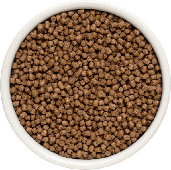 Изображение товара Сухой корм для кошек Grandorf Kitten Fresh Lamb&Sweet Potato (2кг)