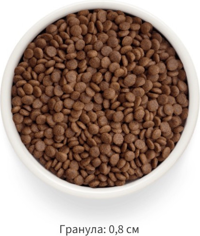 Изображение товара Сухой корм для кошек Grandorf Adult Fresh Lamb&Sweet Potato (2кг)