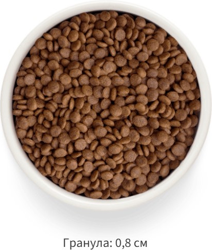 Изображение товара Сухой корм для кошек Grandorf Adult Fresh Salmon&Sweet Potato (2кг)