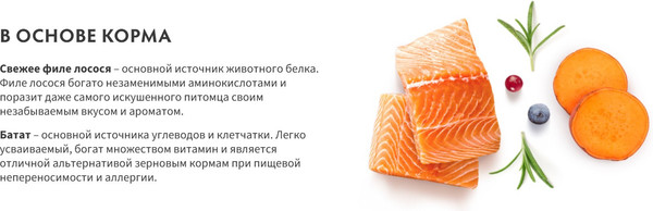 Изображение товара Сухой корм для кошек Grandorf Adult Sterilised Fresh Salmon&Sweet Potato (2кг)