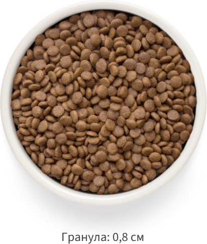 Изображение товара Сухой корм для кошек Grandorf Adult Sterilised Fresh Salmon&Sweet Potato (2кг)