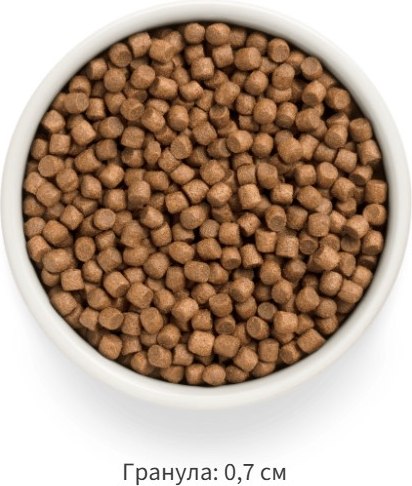 Изображение товара Сухой корм для собак Grandorf Puppy All Breeds Fresh Lamb&Sweet Potato (10кг)