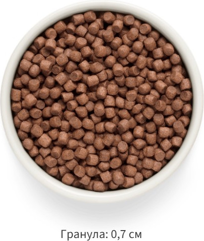 Изображение товара Сухой корм для собак Grandorf Adult Mini Breeds Fresh Lamb&Sweet Potato (1кг)