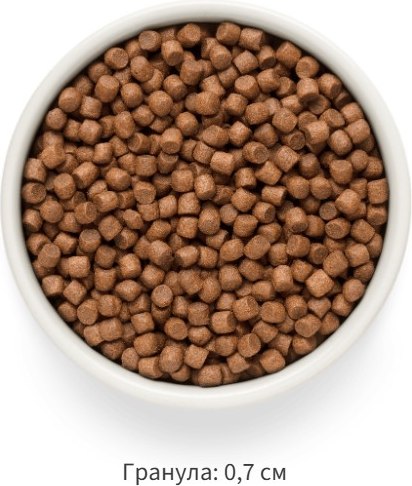 Изображение товара Сухой корм для собак Grandorf Adult Mini Breeds Fresh Salmon&Sweet Potato (3кг)