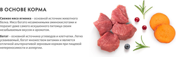 Изображение товара Сухой корм для собак Grandorf Adult Medium&Maxi Breeds Fresh Lamb&Sweet Potato (3кг)