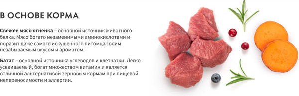 Изображение товара Сухой корм для собак Grandorf Adult Maxi Breeds Fresh Lamb&Sweet Potato (3кг)