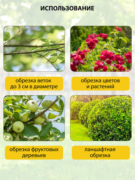 Изображение товара Секатор аккумуляторный Pioneer BP-16V20BL-01