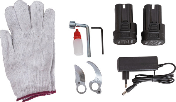 Изображение товара Секатор аккумуляторный Pioneer BP-16V20BL-01