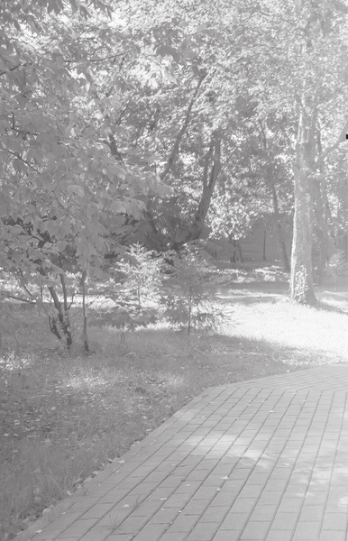 Изображение товара Книга АСТ Это было давно, твердая обложка (Демидова Алла)