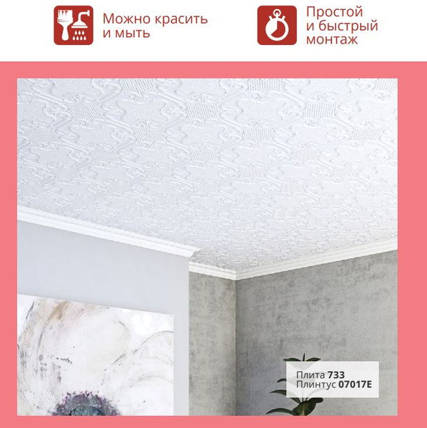 Изображение товара Плинтус потолочный FORMAT 07017Е 49x49