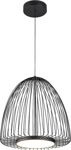 Изображение товара Потолочный светильник Евросвет Comodita 40010/1 LED (черный)