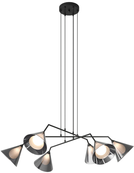 Изображение товара Люстра Евросвет Enigma 70161/6 (черный)