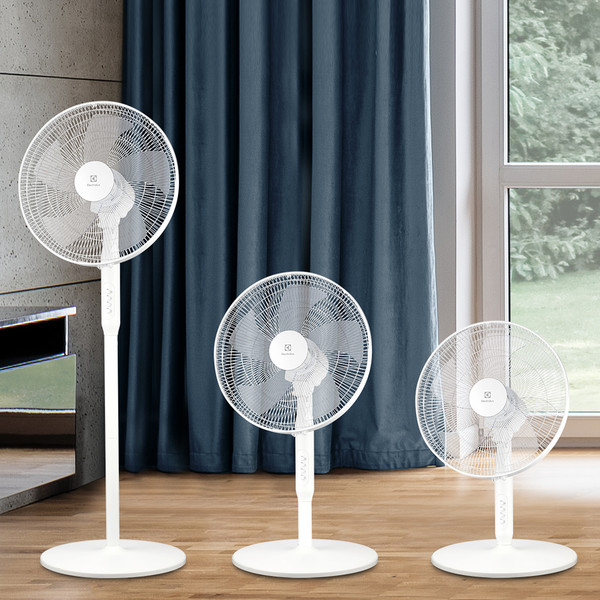 Изображение товара Вентилятор Electrolux EFF-1006W