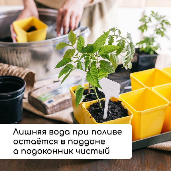 Изображение товара Набор кассет для рассады GREENGO 36.5x17см (18шт, микс)