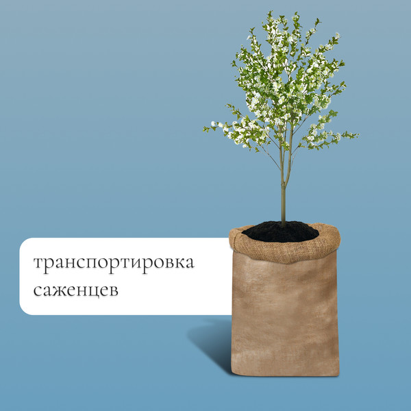 Изображение товара Мешок садовый GREENGO джутовый 74x114см / 9143391