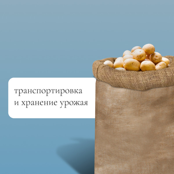 Изображение товара Мешок садовый GREENGO джутовый 74x114см / 9143391